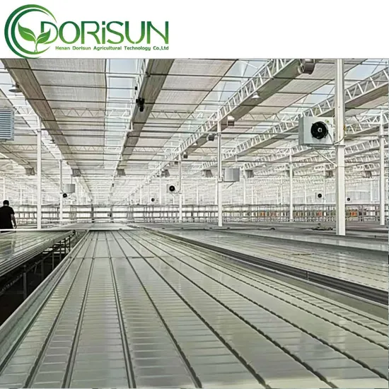 농업 온실 금속 묘상 온실 테이블 롤링 벤치 트레이